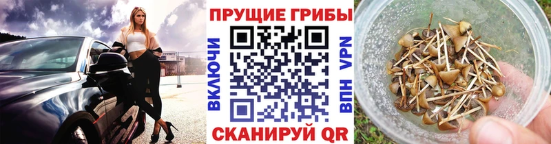 Купить  Кострома  Галлюциногенные грибы ЛСД 